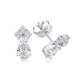 Shine Drop Earring